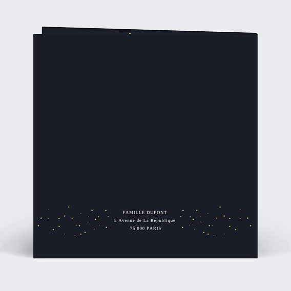 Carte de Noël Traineau de Noël