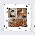 Carte de Noël Chat de Noel