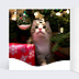 Carte de Noël Chat et Couronne de Noël