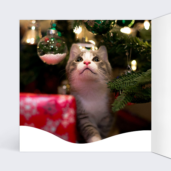 Carte de Noël Chat et Couronne de Noël