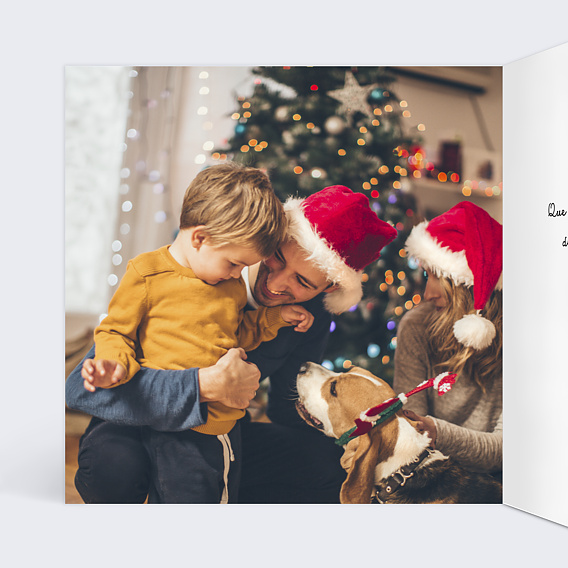 Carte de Noël  Double Pola Pommes de Pin  Intérieur Gauche