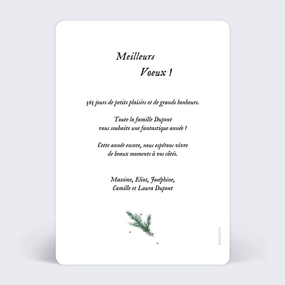 Carte de Noël  Cadre pin Verso