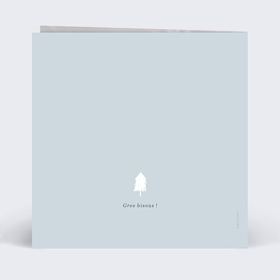 Carte de Noël Petit Traineau