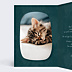 Carte de Noël Bon pour Chaton