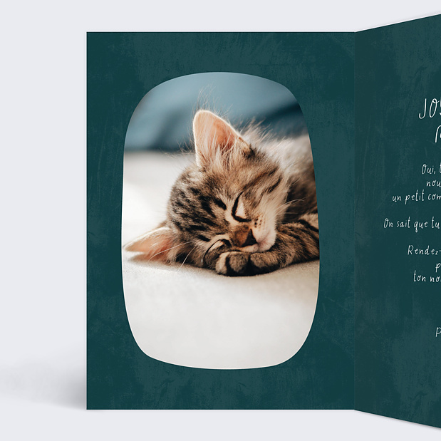 Carte de Noël Bon pour Chaton Intérieur Gauche
