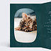 Carte de Noël  Bon pour Chaton Intérieur Gauche
