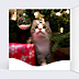 Carte de Noël Chat et Couronne de Noël