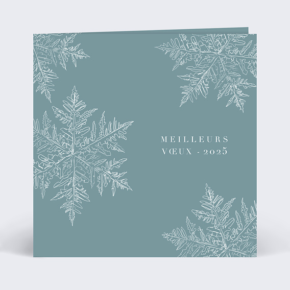 Carte de vœux entreprise Flocons