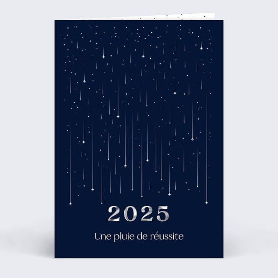 Carte de vœux entreprise Pluie de succès