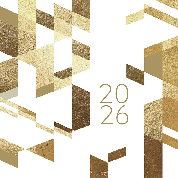 Carte de vœux entreprise Chevrons Recto