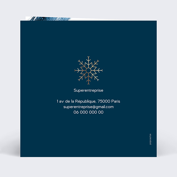 Carte de vœux entreprise Flocons Peinture Verso
