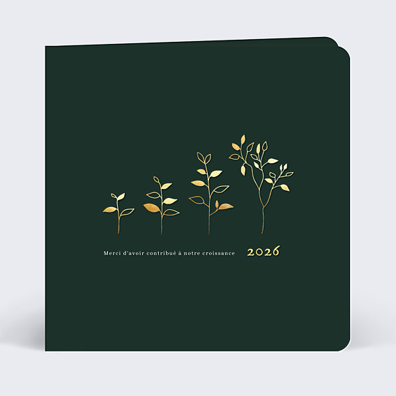 Carte de Voeux Entreprise Plante Évolutive