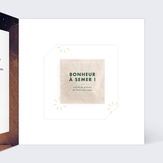 Carte de vœux entreprise Pluie d'étoiles avec graines Intérieur Droit