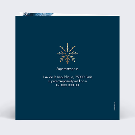 Carte de Voeux Entreprise Flocons Peinture