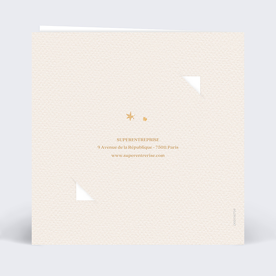 Carte de vœux entreprise Monde suspendu avec graines Verso