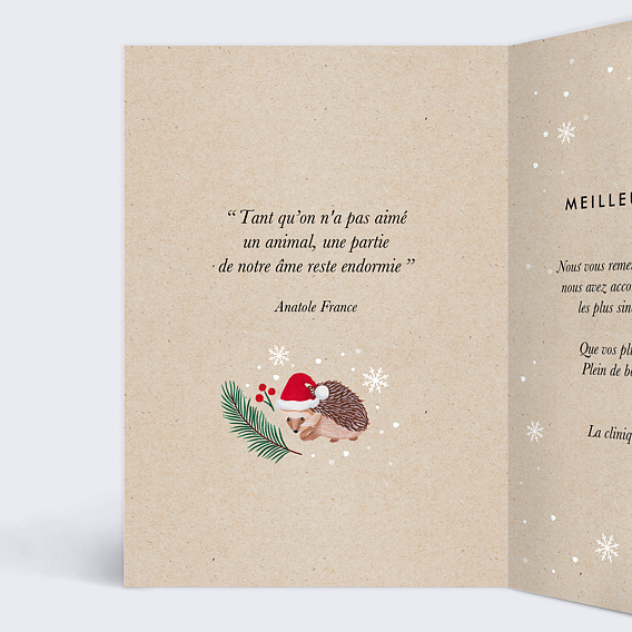 Carte de vœux entreprise Animaux vétérinaire Intérieur Gauche