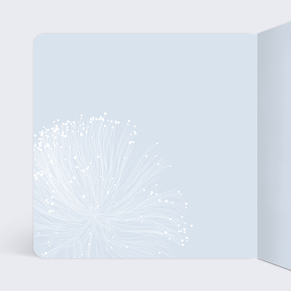 Carte de Voeux Entreprise Légèreté