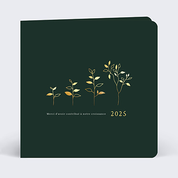 Carte de Vux Entreprise Plante volutive