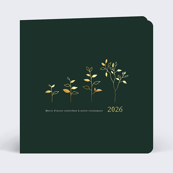 Carte de vœux entreprise Plante Évolutive Recto