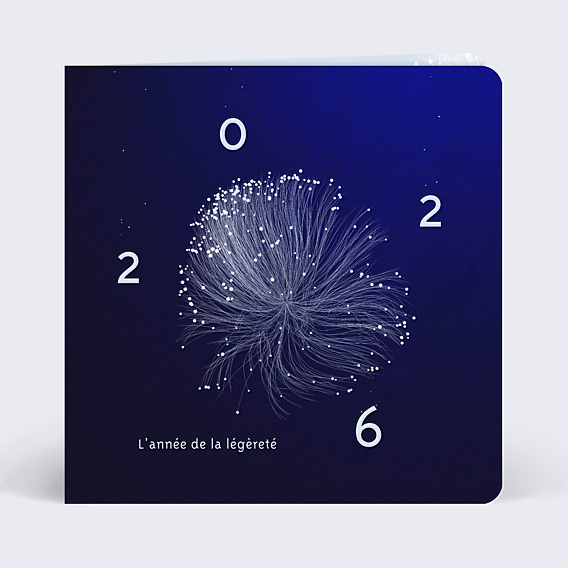 Carte de Voeux Entreprise Légèreté