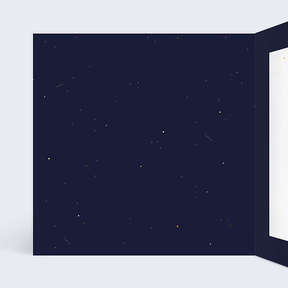 Carte de vœux entreprise Montgolfière Intérieur Gauche