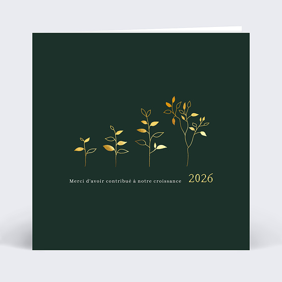 Carte de vœux entreprise Plante Évolutive avec graines Recto