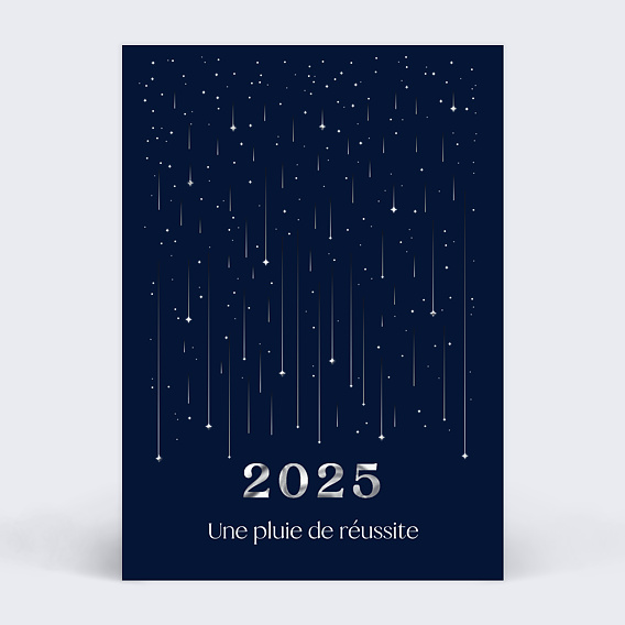 Carte de vœux entreprise Pluie de succès