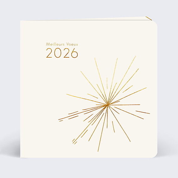 Carte de Voeux Entreprise Explosion