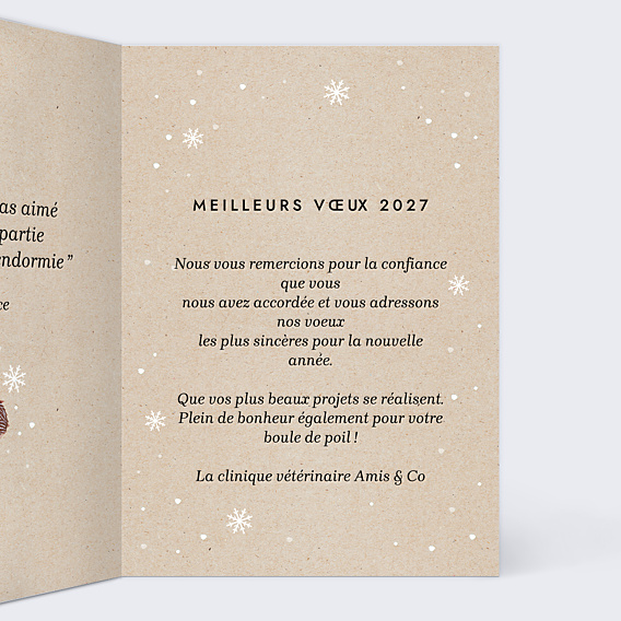 Carte de Voeux Entreprise Animaux vétérinaire
