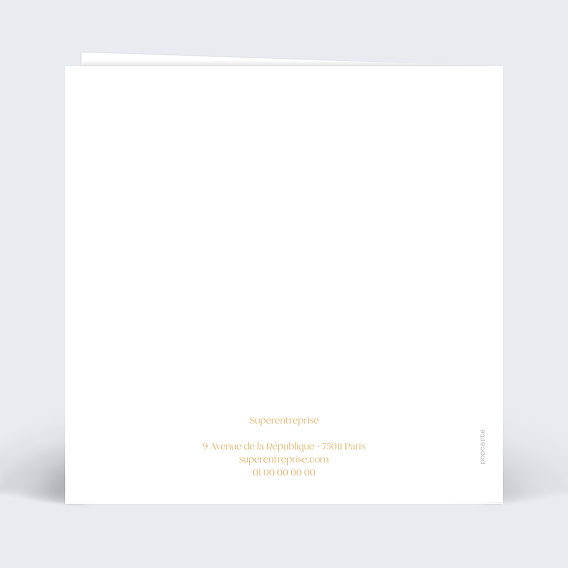 Carte de vœux entreprise Boule à neige logo Verso