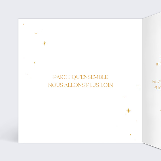 Carte de Voeux Entreprise Boule à neige logo