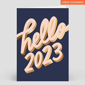 Carte de Voeux Entreprise Secours populaire x Amy Jones - Hello 2023