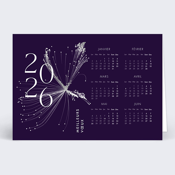 Carte de vœux entreprise Calendrier organique Recto