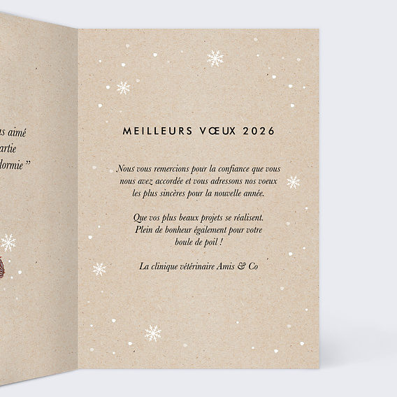 Carte de vœux entreprise Animaux vétérinaire Intérieur Droit