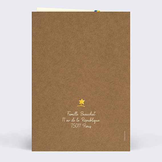 Carte de Voeux Particuliers Chat'pin