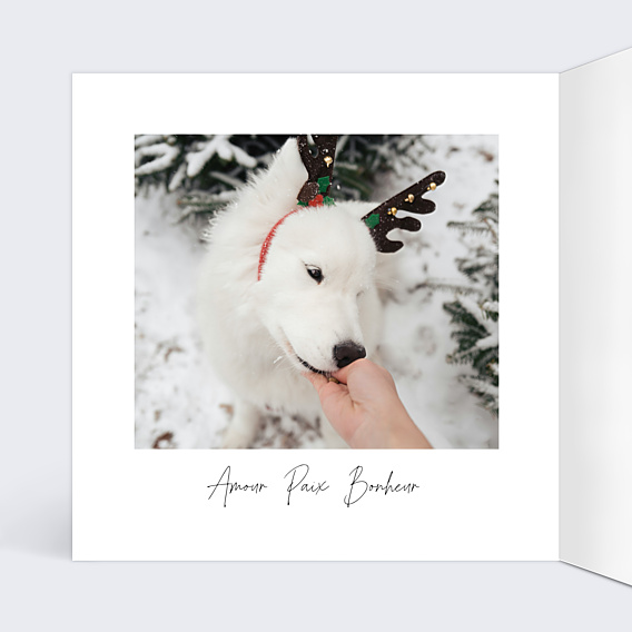 Carte de Voeux Particuliers Votre portrait de Noël à l’argentique