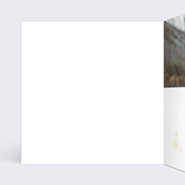 Carte de Voeux Particuliers Découpe Montage Sapins Intérieur Gauche