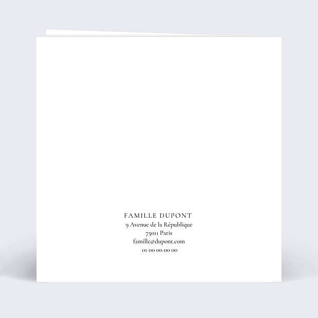 Carte de Voeux Particuliers Voeux Manuscrits Verso