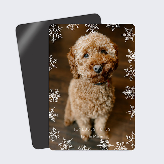 Carte de Voeux Particuliers Pleine page flocon