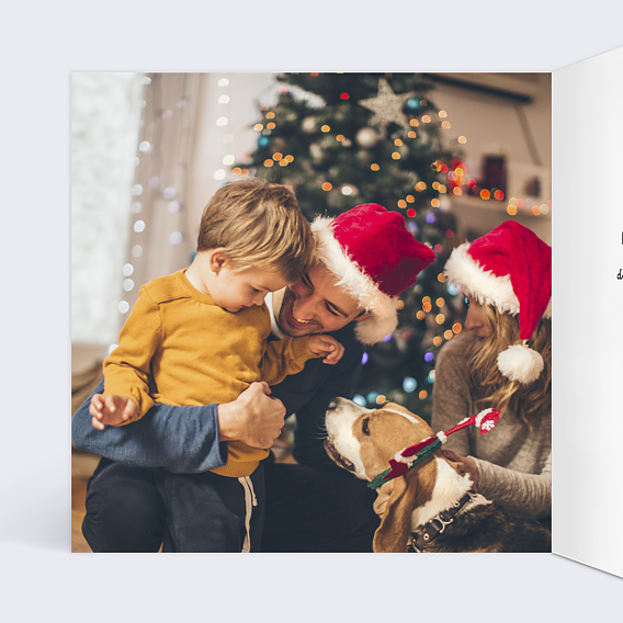 Carte de voeux Double Pola Pommes de Pin Intérieur Gauche