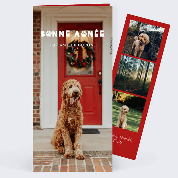 Carte de voeux Bonne patte