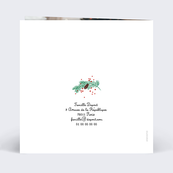 Carte de voeux Double Pola Pommes de Pin Verso