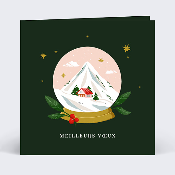 Carte de Voeux Particuliers Boule à neige paysage