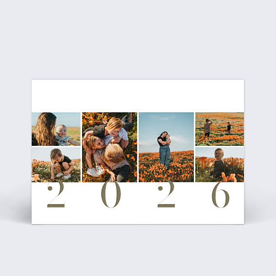 Carte de Voeux Particuliers Année en grand
