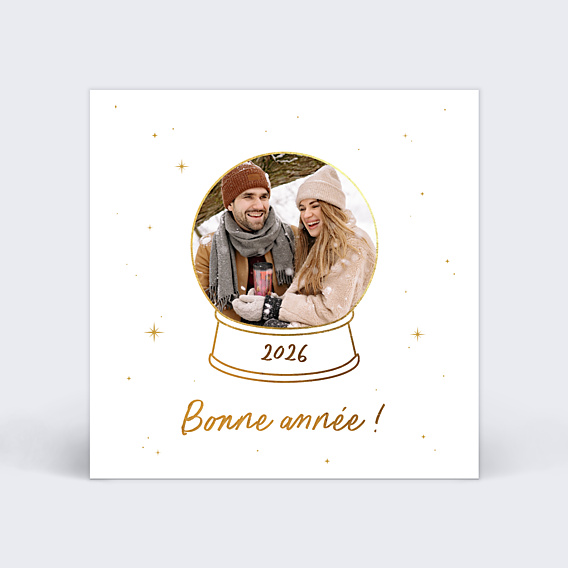 Carte de Voeux Particuliers Boule à Neige Photo