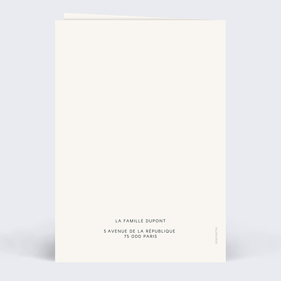 Carte de Voeux Particuliers Bonhomme de Neige