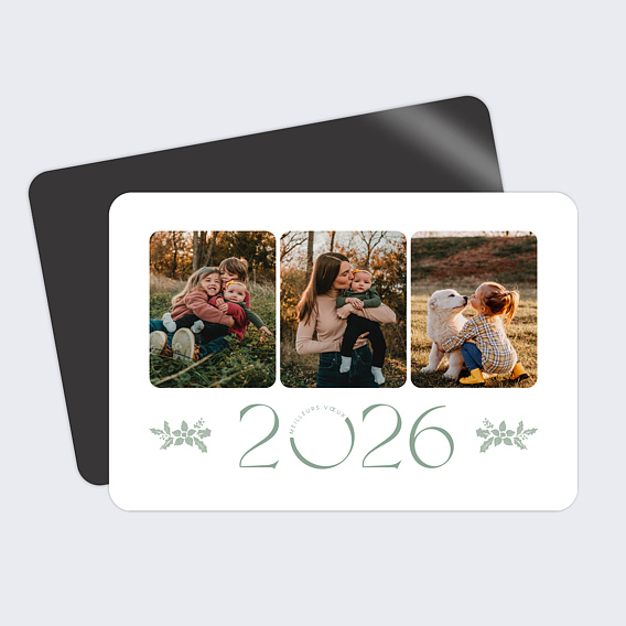 Carte de Voeux Particuliers Frivolité