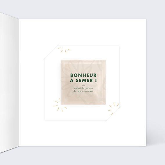 Carte de Voeux Particuliers Boule à Neige avec Graines