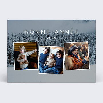 Carte de Voeux Particuliers La Belle Vie