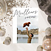 Carte de voeux Plume Manuscrite